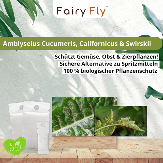 FairyFly Raubmilben TRIO gegen Thripse, Spinnmilben, Weichhautmilben & Weiße Fliegen - Der 3-Fach Schutz für Pflanzen