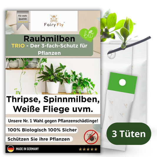 FairyFly Raubmilben TRIO gegen Thripse, Spinnmilben, Weichhautmilben & Weiße Fliegen - Der 3-Fach Schutz für Pflanzen