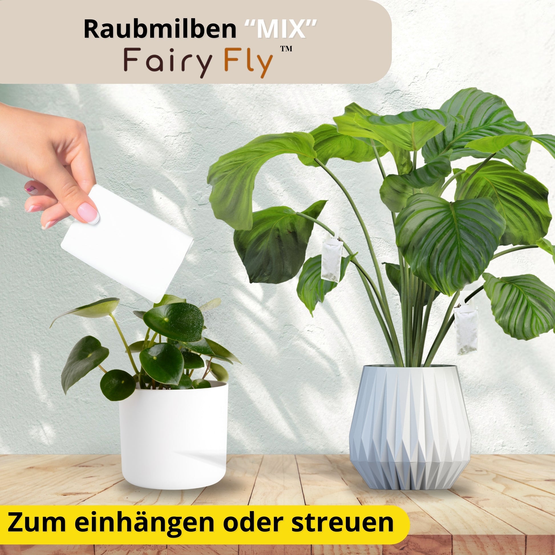 FairyFly - Raubmilben Mix gegen Thripse, Spinnmilben & Weichhautmilben