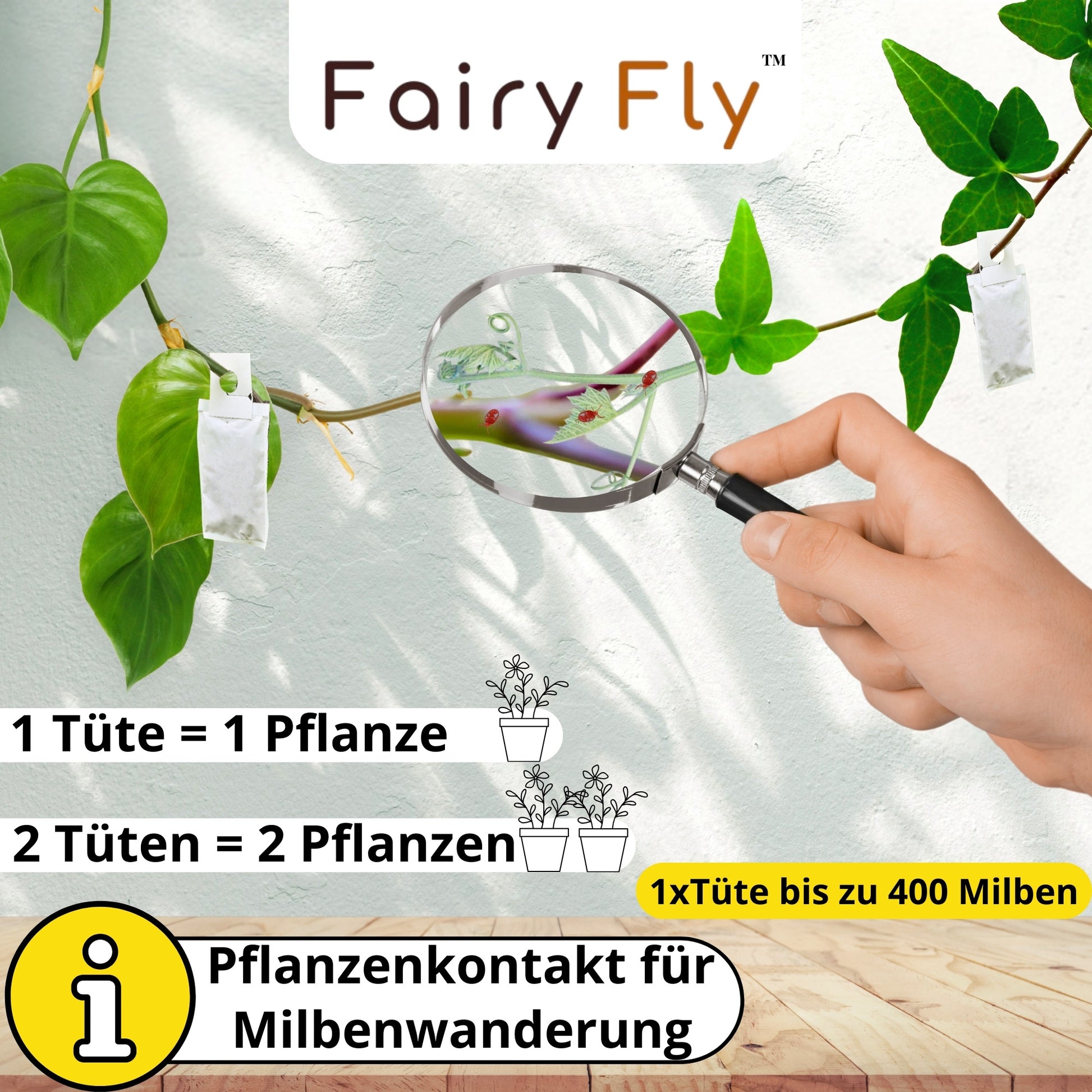 FairyFly Raubmilben Californicus – Natürlich gegen Spinnmilben & Schädlinge – 100 % biologisch & chemiefrei – Für Zimmerpflanzen, Garten & Gewächshaus – Made in Germany