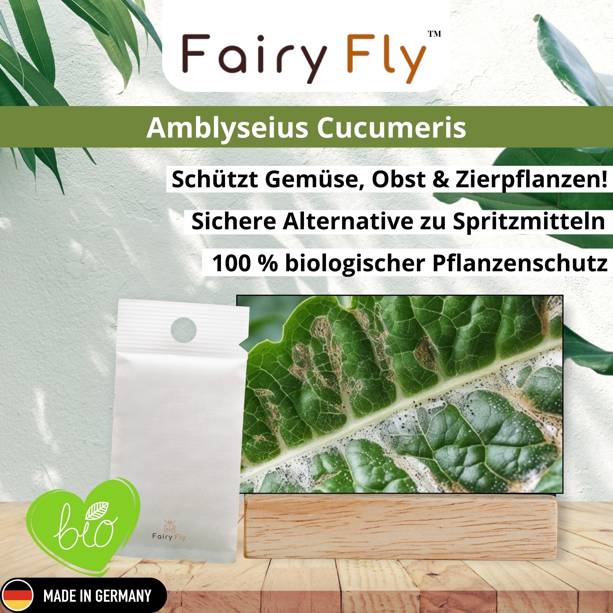 FairyFly Raubmilben Cucumeris – Natürlich gegen Thripse – 100 % Biologisch & Chemiefrei – Für Zimmerpflanzen, Garten & Gewächshaus – Made in Germany