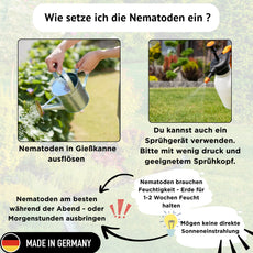 FairyFly SF Nematodes against fungus gnats & larvae – Steinernema Feltiae – Biological pest control for soil & houseplants – Safe & chemical-free – 10 million for 10 m² application