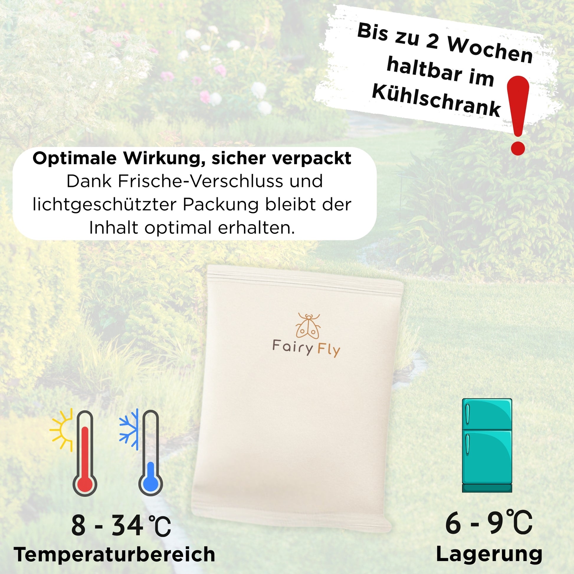 FairyFly SF Nematodes against fungus gnats &amp; larvae – Steinernema Feltiae – Biological pest control for soil &amp; houseplants – Safe &amp; chemical-free – 10 million for 10 m² application