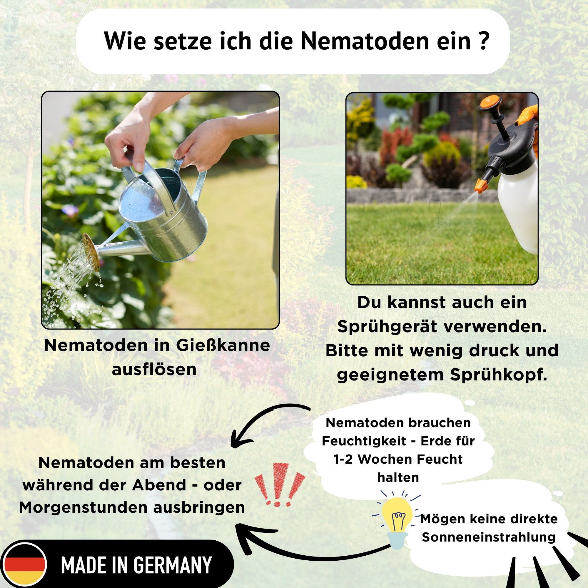 FairyFly HB Nematodes against Wireworms &amp; Vine Weevils – Biological Pest Control without Chemicals – Beneficial Insects Against Larvae in the Soil – Safe for Children, Pets &amp; the Environment