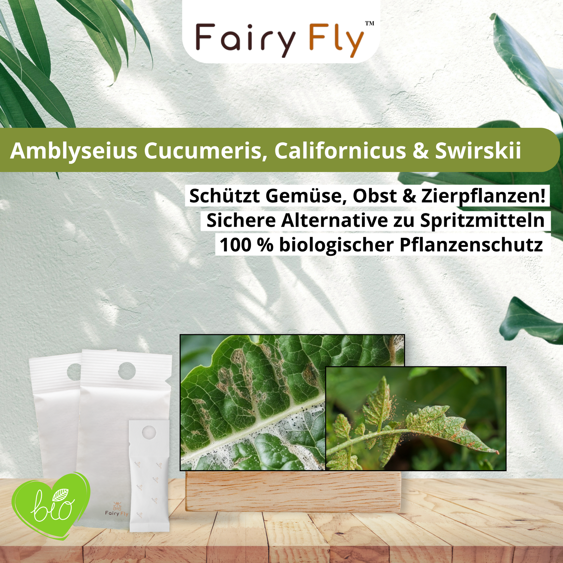 FairyFly Raubmilben TRIO gegen Thripse, Spinnmilben, Weichhautmilben & Weiße Fliegen - Der 3-Fach Schutz für Pflanzen