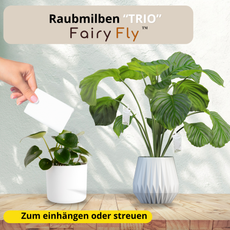 FairyFly Raubmilben TRIO gegen Thripse, Spinnmilben, Weichhautmilben & Weiße Fliegen - Der 3-Fach Schutz für Pflanzen