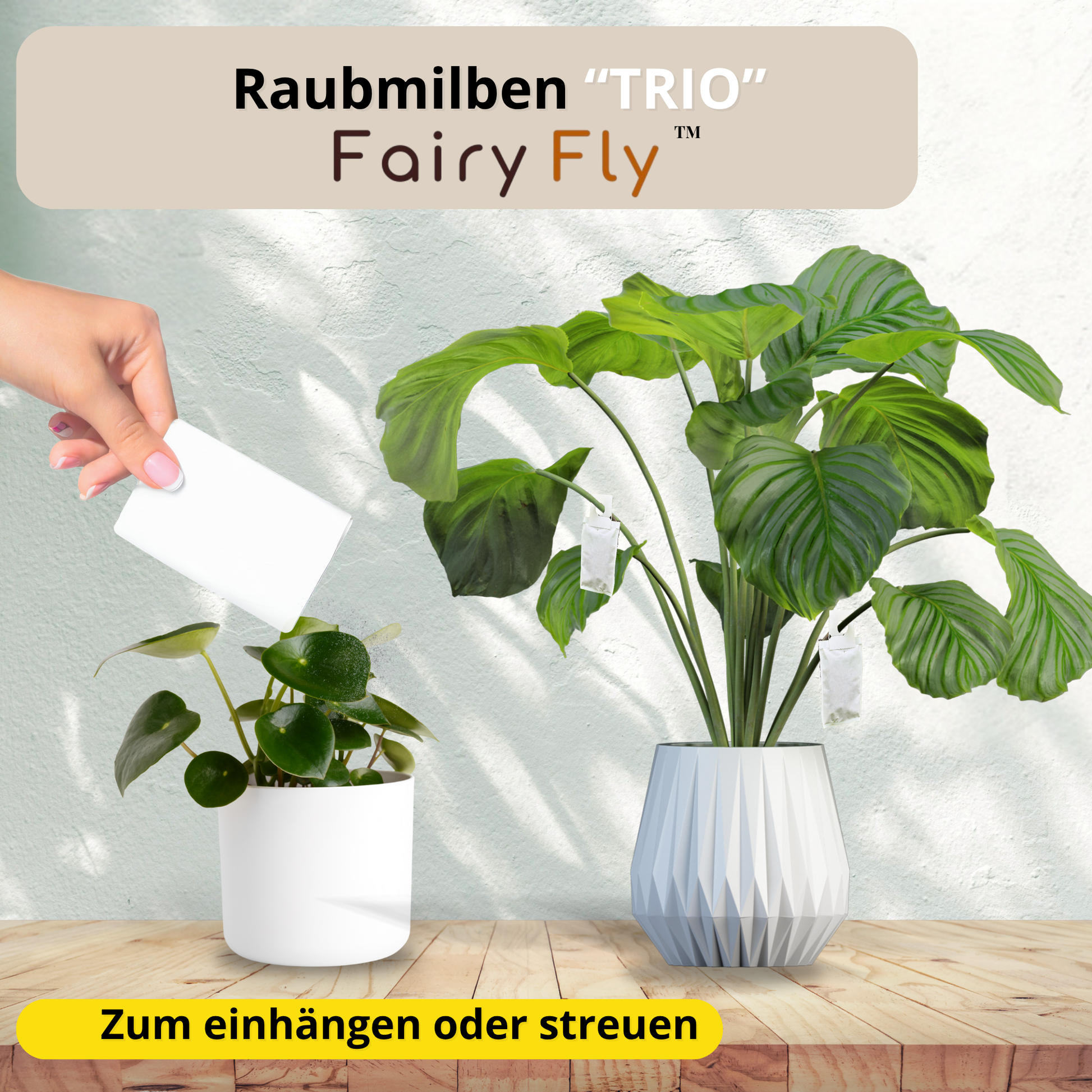 FairyFly Raubmilben TRIO gegen Thripse, Spinnmilben, Weichhautmilben & Weiße Fliegen - Der 3-Fach Schutz für Pflanzen