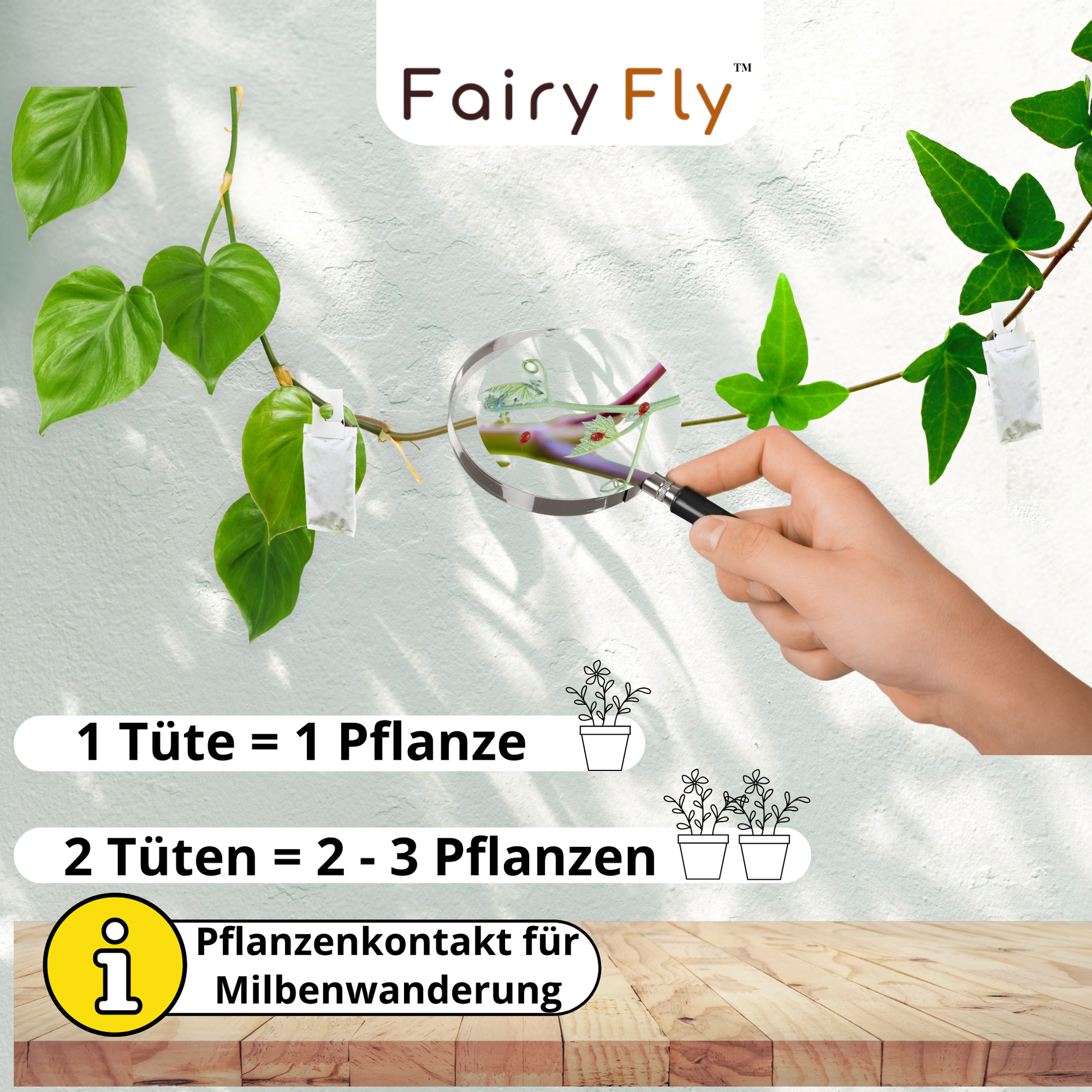 FairyFly Raubmilben TRIO gegen Thripse, Spinnmilben, Weichhautmilben & Weiße Fliegen - Der 3-Fach Schutz für Pflanzen