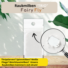 FairyFly Raubmilben TRIO gegen Thripse, Spinnmilben, Weichhautmilben & Weiße Fliegen - Der 3-Fach Schutz für Pflanzen