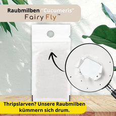 FairyFly Raubmilben Cucumeris – Natürlich gegen Thripse – 100 % Biologisch & Chemiefrei – Für Zimmerpflanzen, Garten & Gewächshaus – Made in Germany