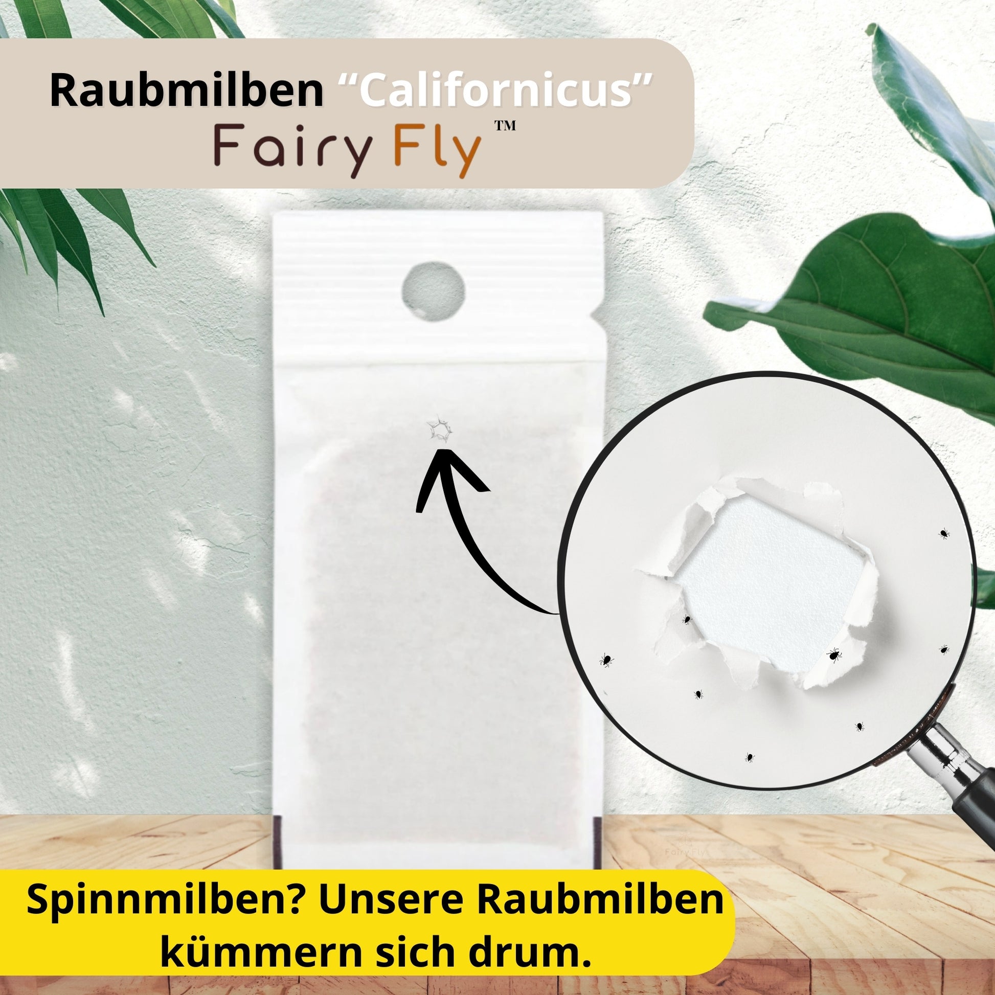 FairyFly Raubmilben Californicus – Natürlich gegen Spinnmilben & Schädlinge – 100 % biologisch & chemiefrei – Für Zimmerpflanzen, Garten & Gewächshaus – Made in Germany