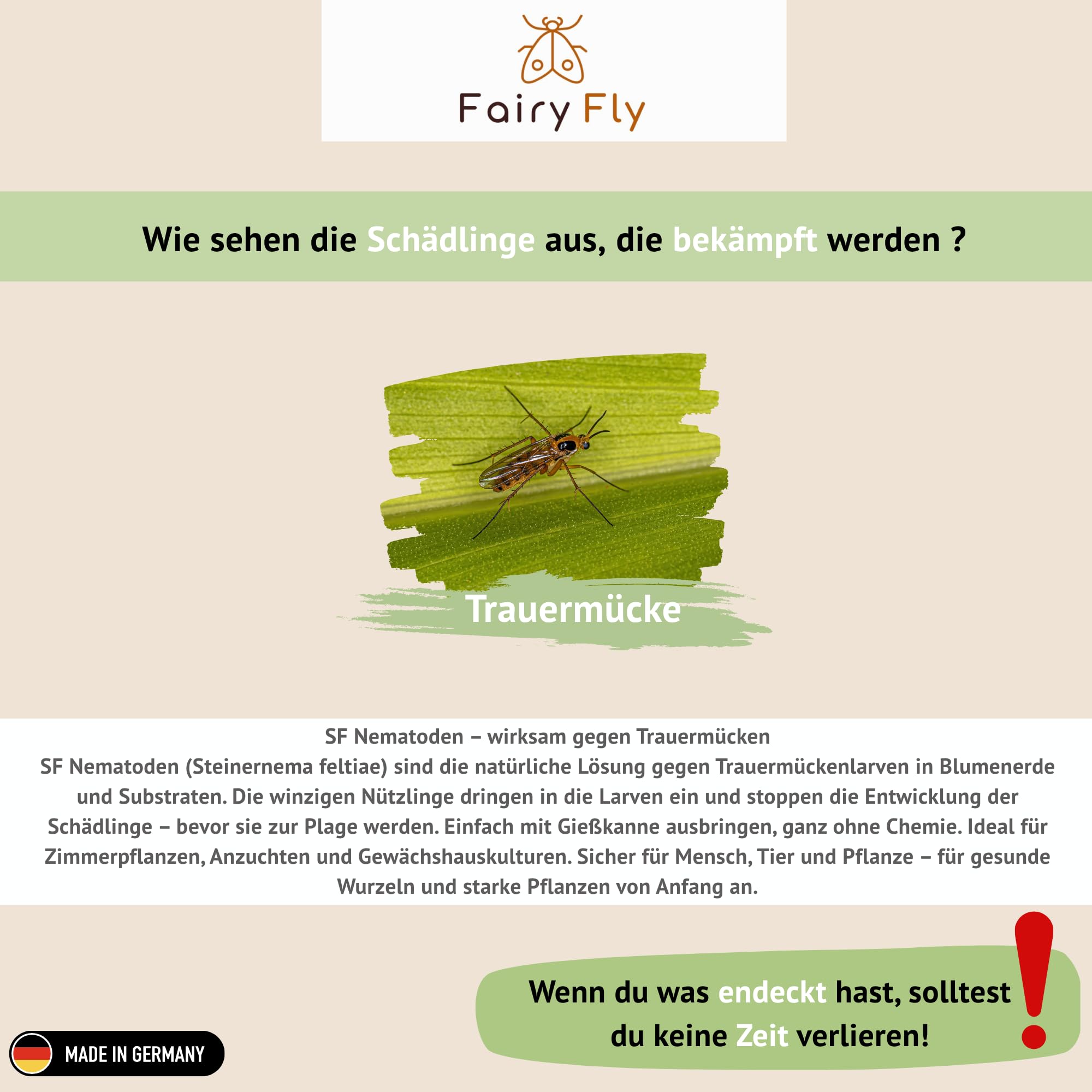 FairyFly SF Nematoden gegen Trauermücken & Larven – Steinernema Feltiae – Biologische Schädlingsbekämpfung für Erde & Zimmerpflanzen – Sicher & Chemiefrei – 10 Mio. für 10 m² Anwendung