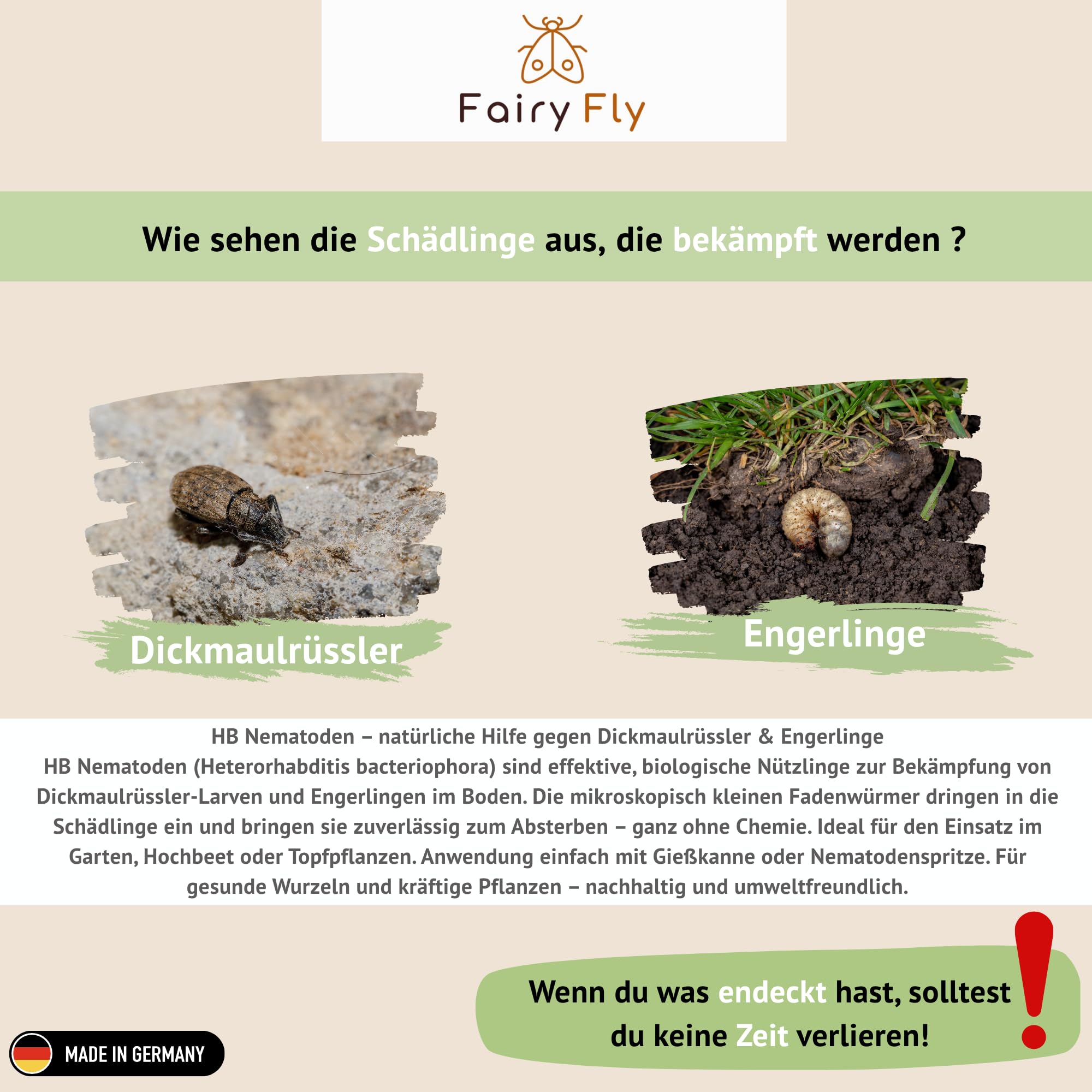 FairyFly HB Nematoden gegen Engerlinge & Dickmaulrüssler – Biologische Schädlingsbekämpfung ohne Chemie – Nützlinge gegen Larven im Boden – Sicher für Kinder, Haustiere & Umwelt