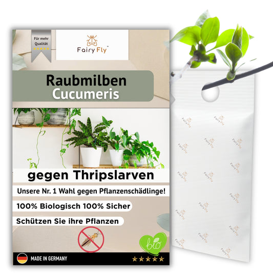 FairyFly Raubmilben Cucumeris – Natürlich gegen Thripse – 100 % Biologisch & Chemiefrei – Für Zimmerpflanzen, Garten & Gewächshaus – Made in Germany
