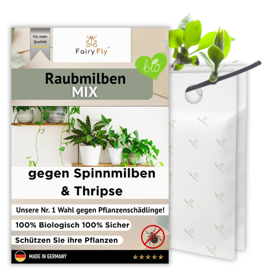 FairyFly - Raubmilben Mix gegen Thripse, Spinnmilben & Weichhautmilben