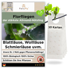 Florfliegen - FairyFly®  1 – 50 Karten gegen Blattläuse, Wollläuse und weitere Schädlinge