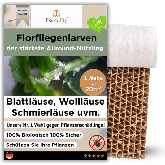 FairyFly® - Florfliegenlarven - 500 Larven je Wabe gegen Blattläuse, Wollläuse und weitere Schädlinge