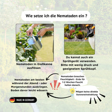 SF Nematoden gegen Trauermücken - 1 - 25 Mio / 2 - 50 m² / 10 - 250 Pflanzen