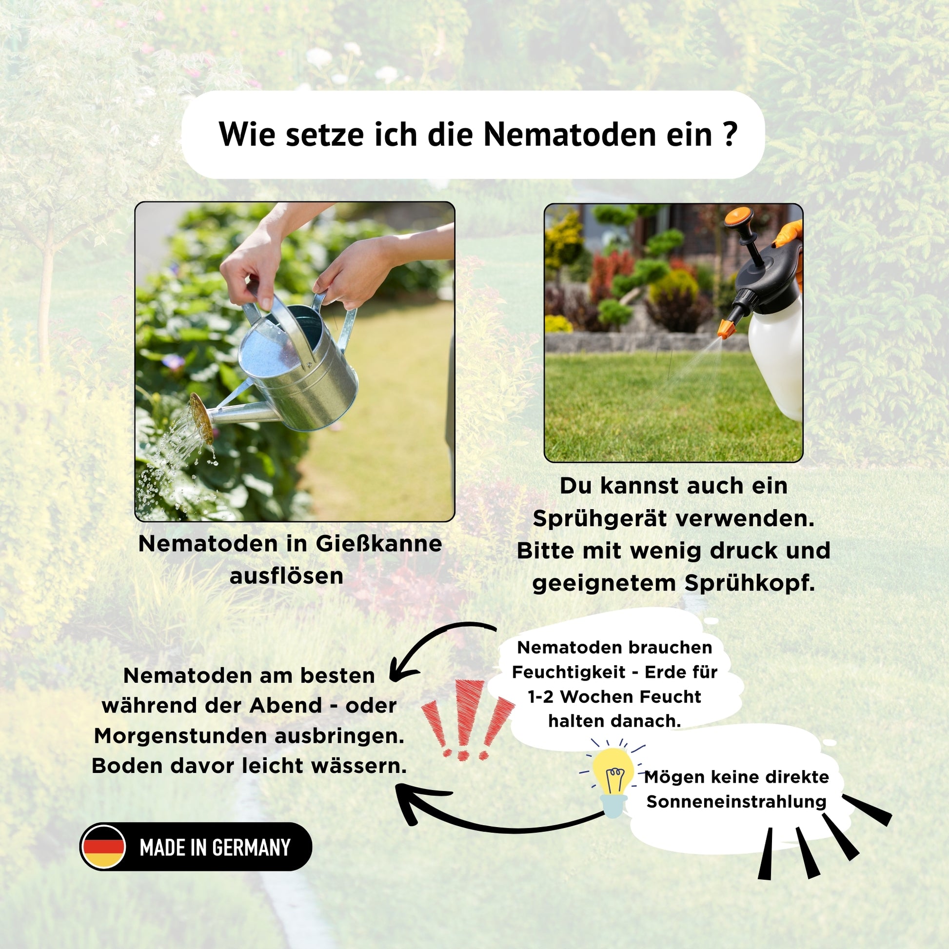 SF Nematoden gegen Trauermücken - 1 - 25 Mio / 2 - 50 m² / 10 - 250 Pflanzen