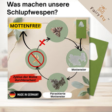 FairyFly Schlupfwespen gegen Lebensmittelmotten – Chemiefreie & biologische Mottenbekämpfung mit Trichogramma | Nützlinge für Küche, Vorrat, Speisekammer & Lager