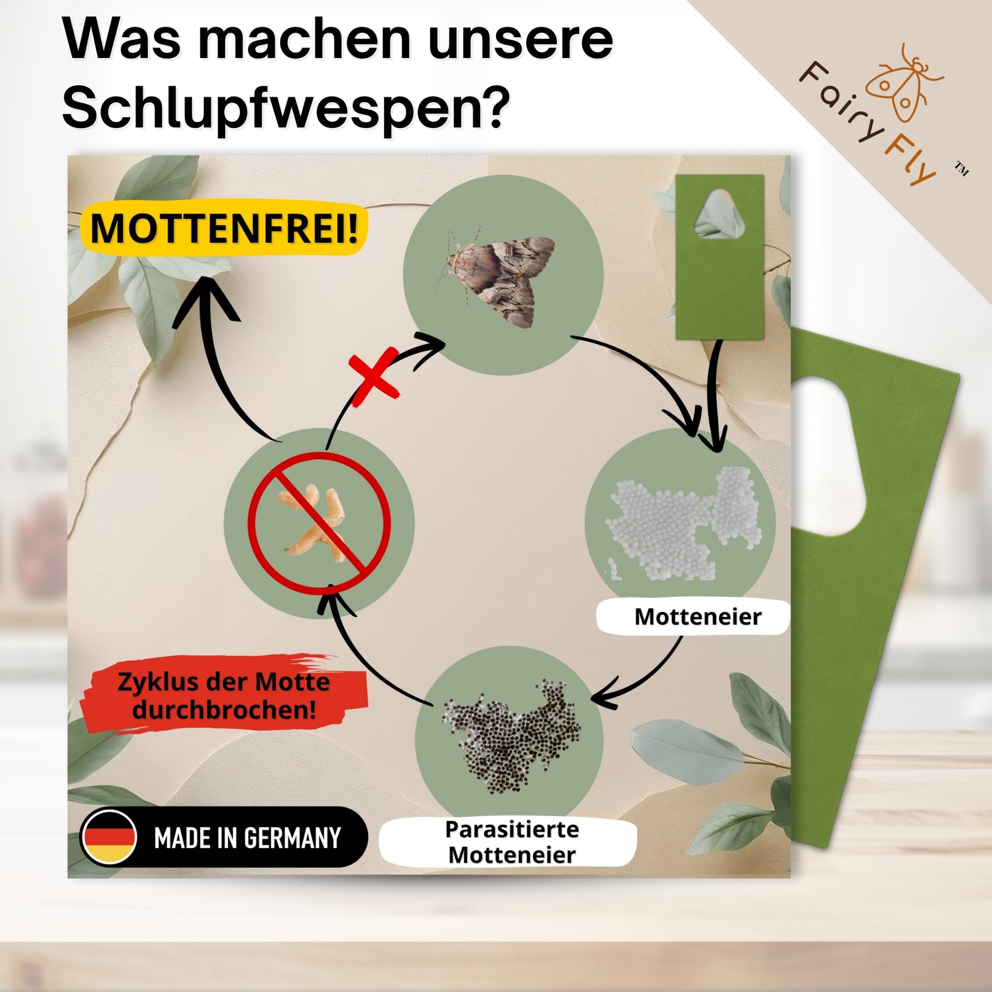 FairyFly Schlupfwespen gegen Lebensmittelmotten – Chemiefreie & biologische Mottenbekämpfung mit Trichogramma | Nützlinge für Küche, Vorrat, Speisekammer & Lager