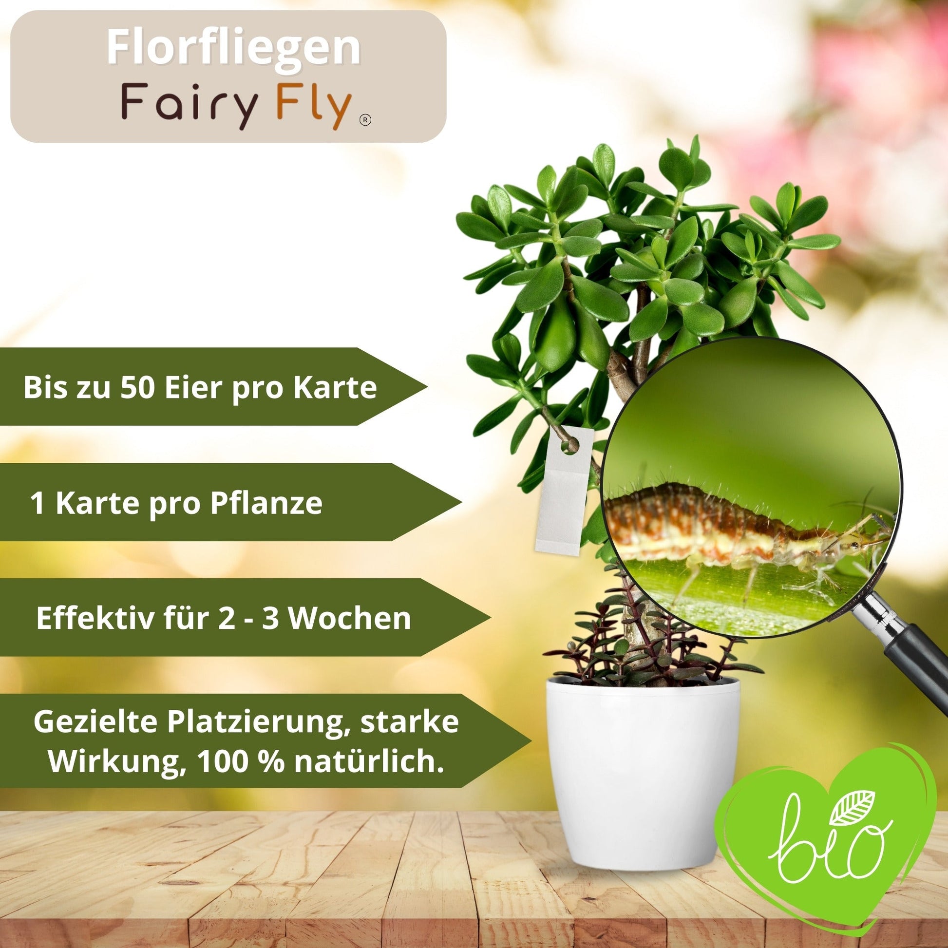 Florfliegen - FairyFly® 1 – 5 Karten gegen Blattläuse, Wollläuse und weitere Schädlinge - FairyFly