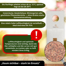 Florfliegen - FairyFly® 1 – 5 Karten gegen Blattläuse, Wollläuse und weitere Schädlinge - FairyFly