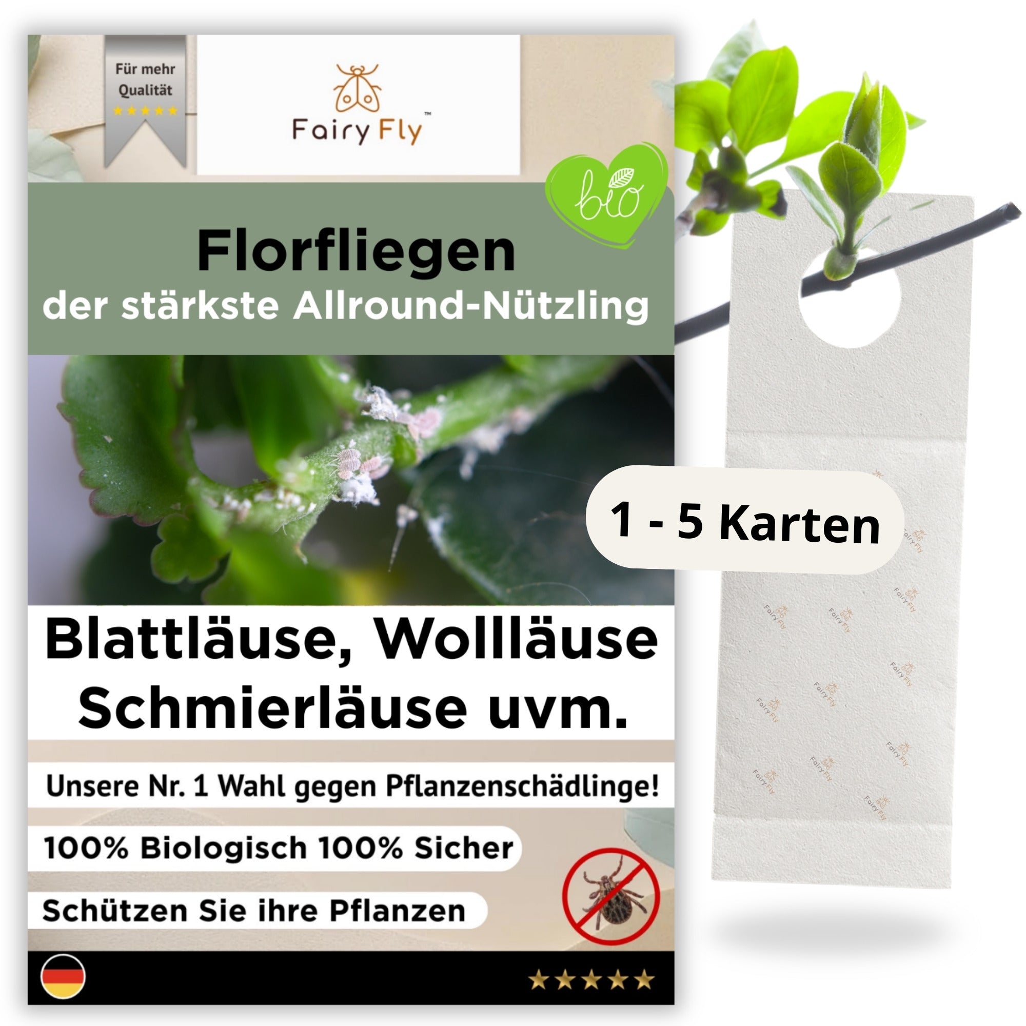 Florfliegen - FairyFly® 1 – 5 Karten gegen Blattläuse, Wollläuse und weitere Schädlinge - FairyFly