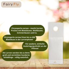 Florfliegen - FairyFly® 1 – 5 Karten gegen Blattläuse, Wollläuse und weitere Schädlinge - FairyFly