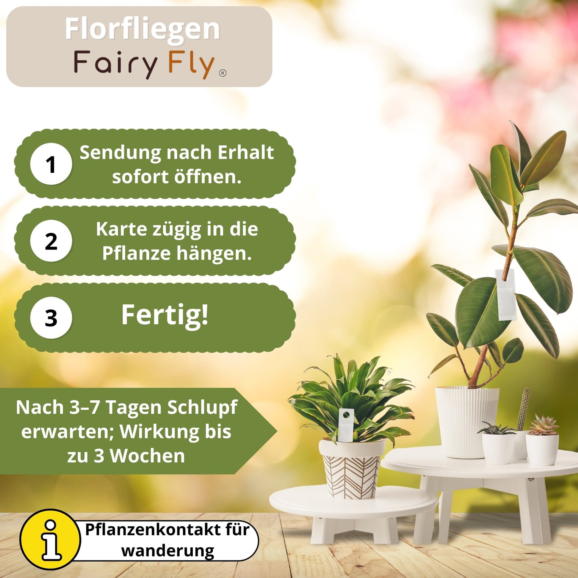 Florfliegen - FairyFly® 1 – 5 Karten gegen Blattläuse, Wollläuse und weitere Schädlinge - FairyFly