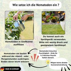 HB - Nematoden gegen Engerlinge & Dickmaulrüssler - FairyFly