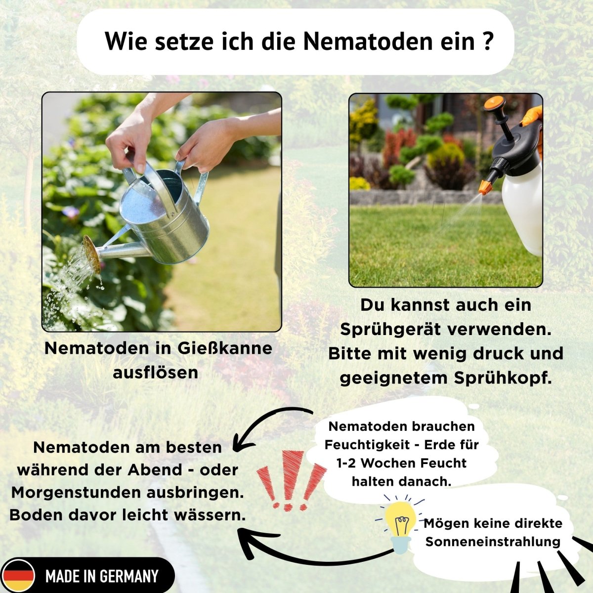 HB - Nematoden gegen Engerlinge & Dickmaulrüssler - FairyFly