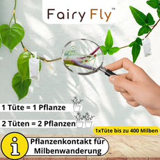 Raubmilben Californicus gegen Spinnmilben & Schädlinge - FairyFly