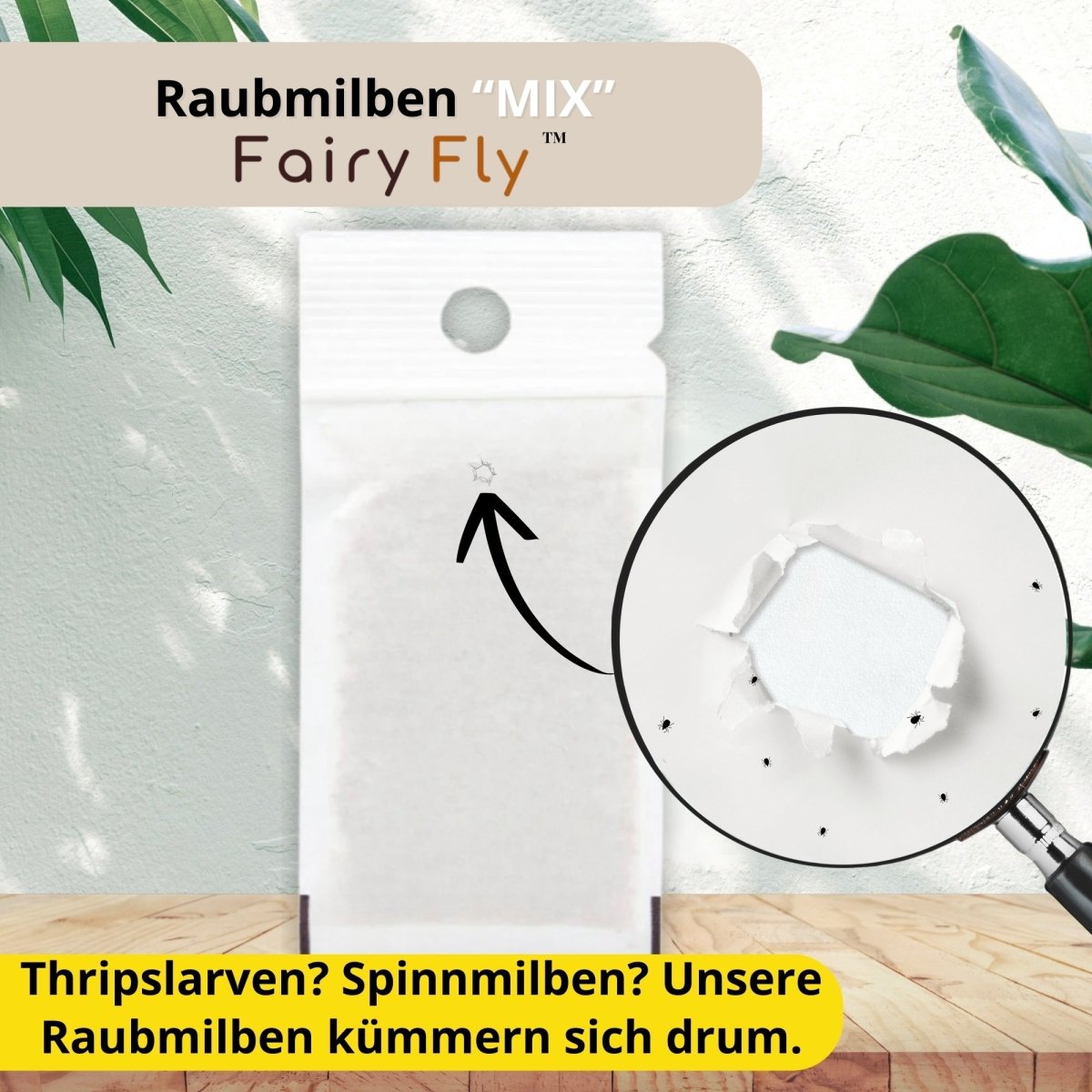 Raubmilben Mix gegen Thripse & Spinnmilben - FairyFly