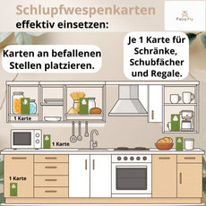 Schlupfwespen gegen Lebensmittelmotten - FairyFly